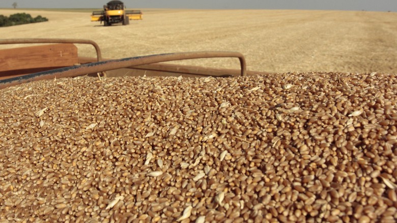 Custo total de produção de trigo no RS é estimado em R$ 2,82 mil por hectare